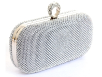 Glittering Rhinestones Evening clutch bag. Comes with metal chain.