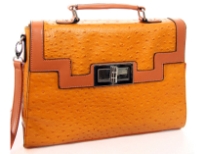 PVC box shaped ostrich embossed fashion handbag with twist lock. Top zipper closing and back zipper pocket.