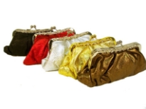 Metal Frame Evening Bag