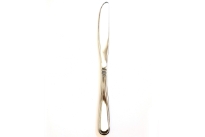 Stainless Steel Atlanta Table Knife