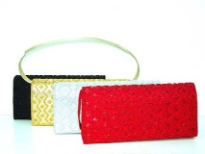 Hand Beaded Evening BaG