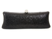 Metal Frame Evening Bag