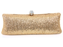 Metal Frame Evening Bag