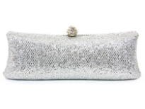 Metal Frame Evening Bag